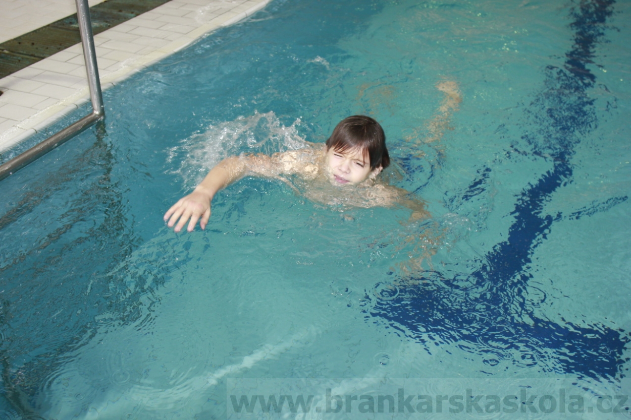 BFŠJCH - Zima 2015 - 30.1.2015