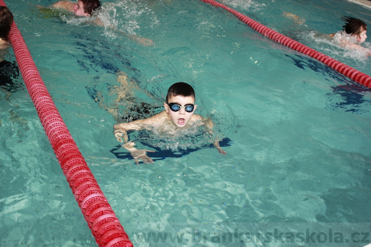 BFŠJCH - Zima 2015 - 30.1.2015