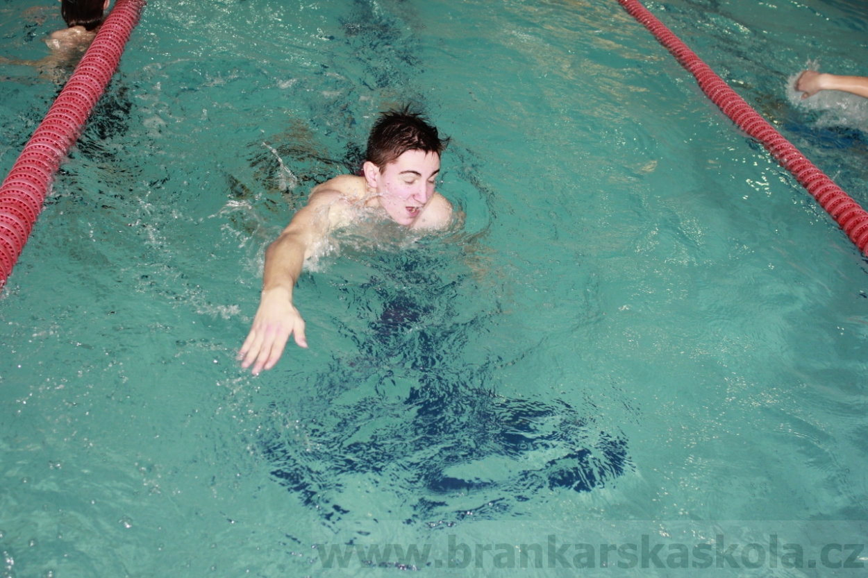 BFŠJCH - Zima 2015 - 30.1.2015