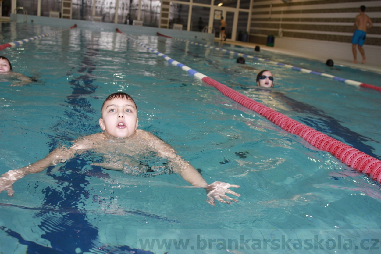 BFŠJCH - Zima 2015 - 30.1.2015