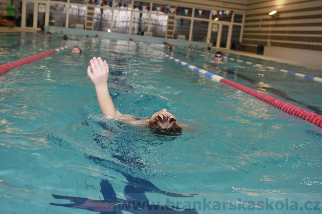 BFŠJCH - Zima 2015 - 30.1.2015