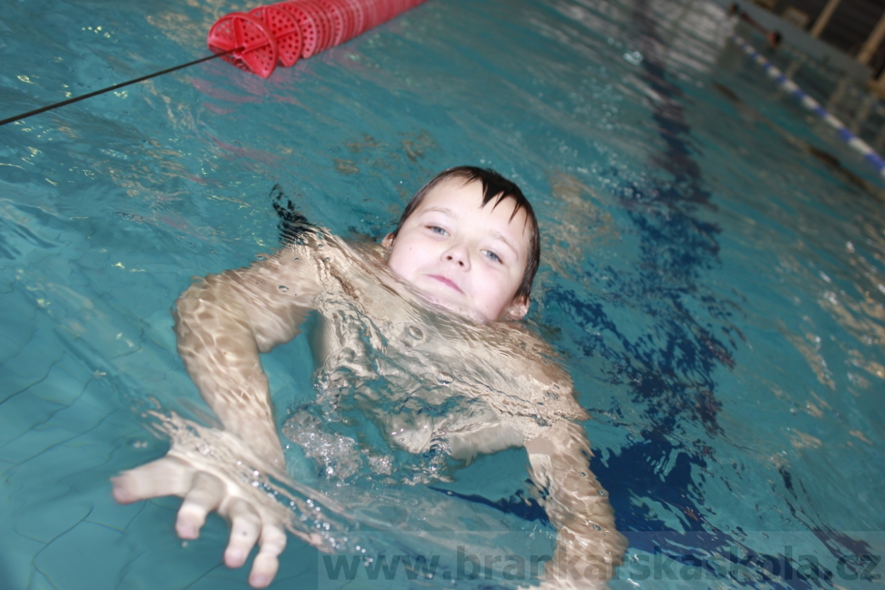 BFŠJCH - Zima 2015 - 30.1.2015