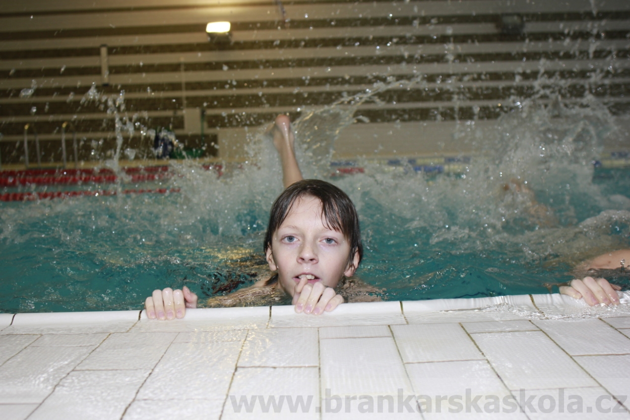 BFŠJCH - Zima 2015 - 30.1.2015
