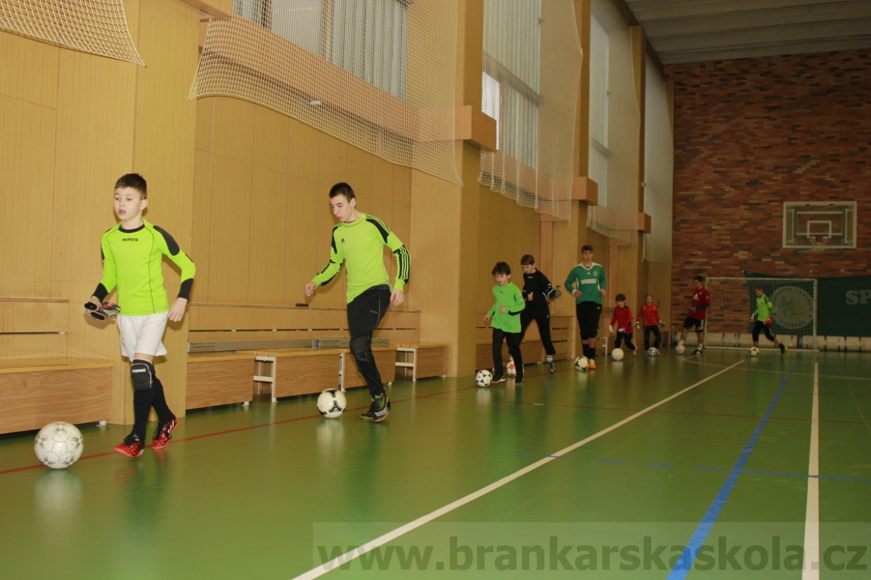 BFŠJCH - Zima 2015 - 30.1.2015