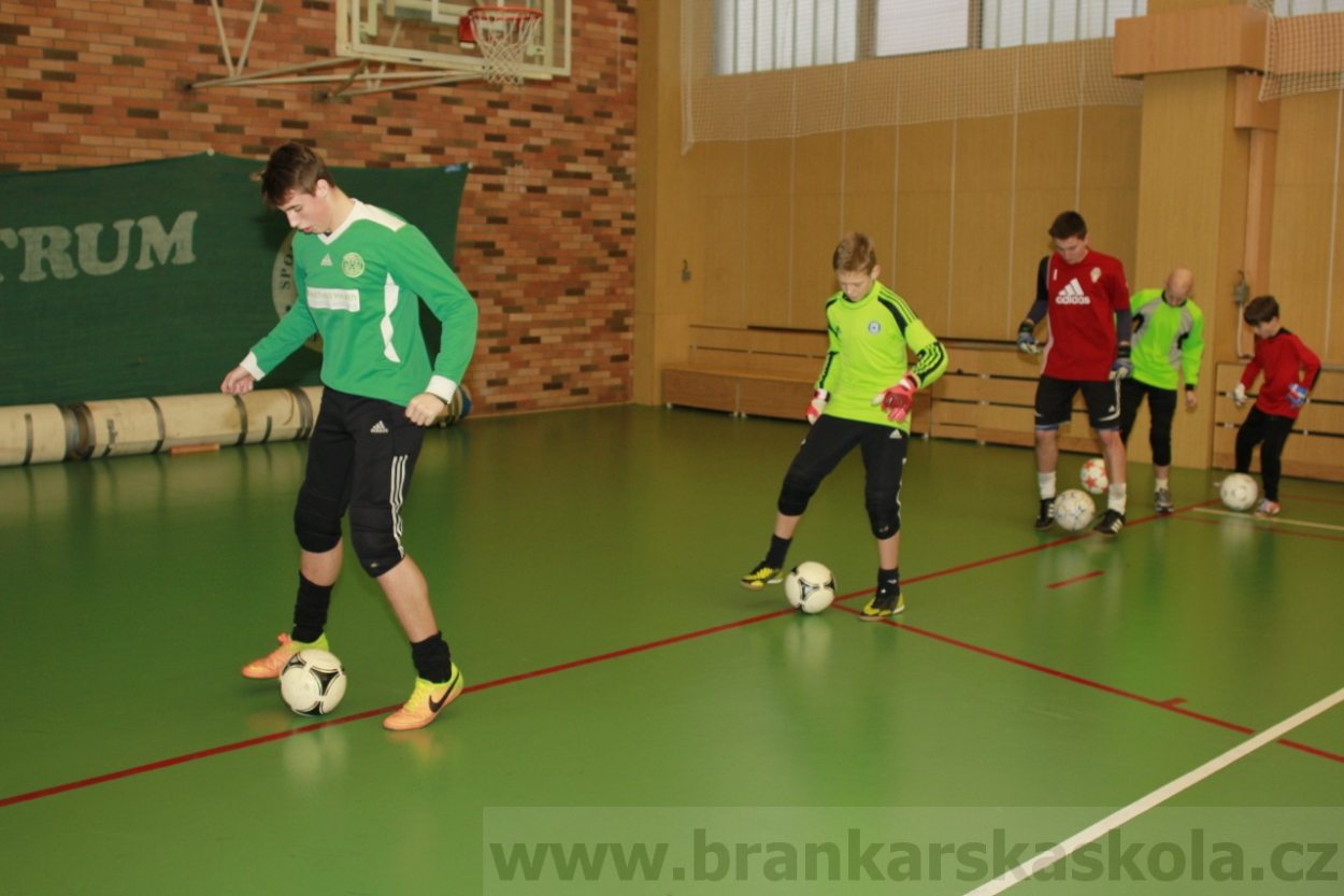 BFŠJCH - Zima 2015 - 30.1.2015