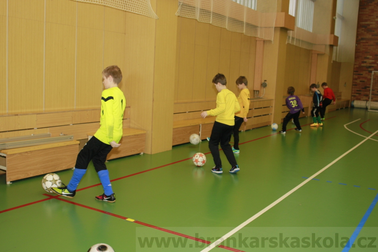 BFŠJCH - Zima 2015 - 30.1.2015