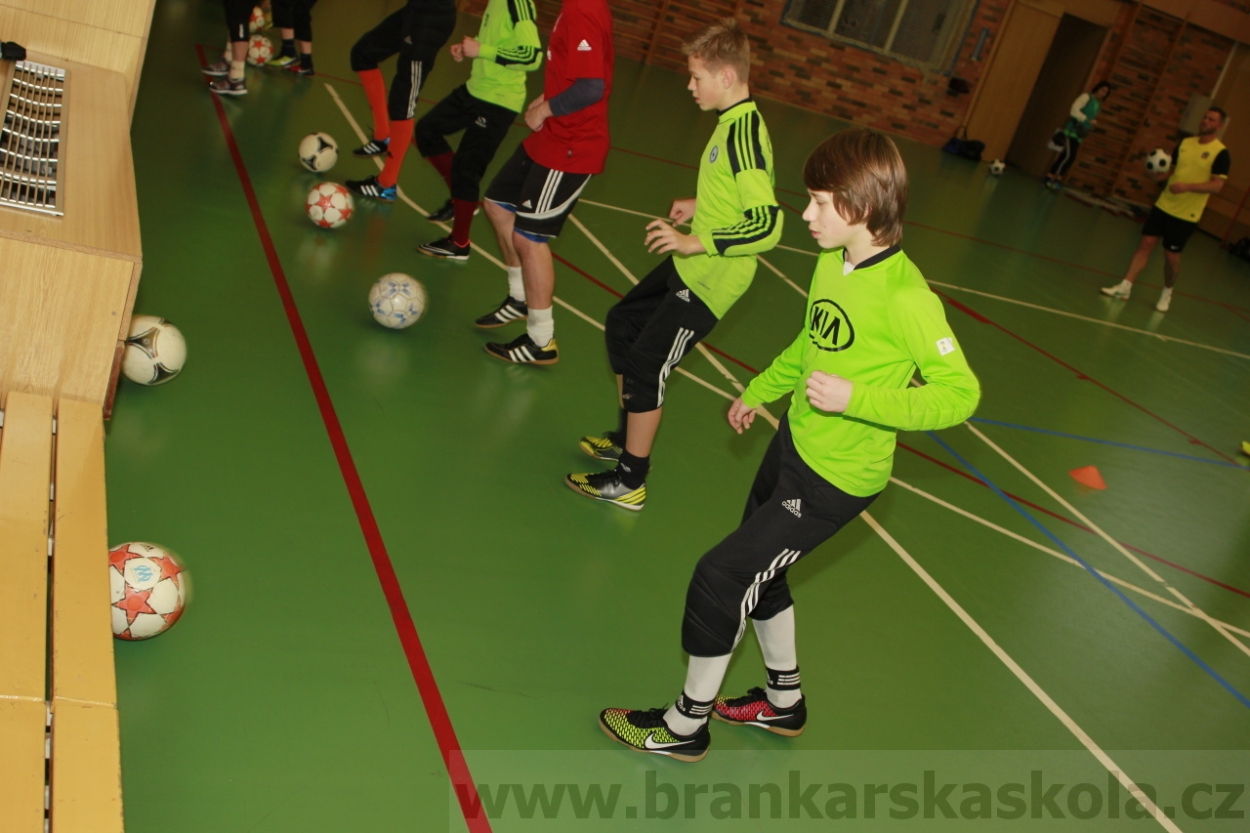 BFŠJCH - Zima 2015 - 30.1.2015