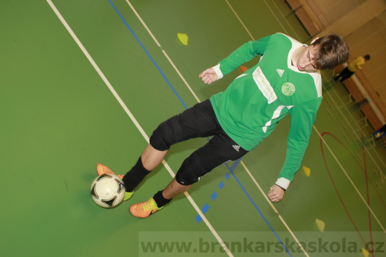 BFŠJCH - Zima 2015 - 30.1.2015