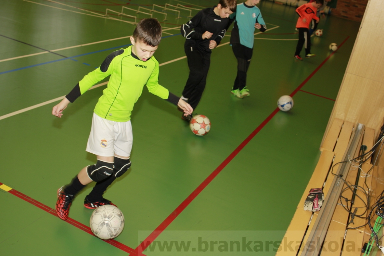 BFŠJCH - Zima 2015 - 30.1.2015