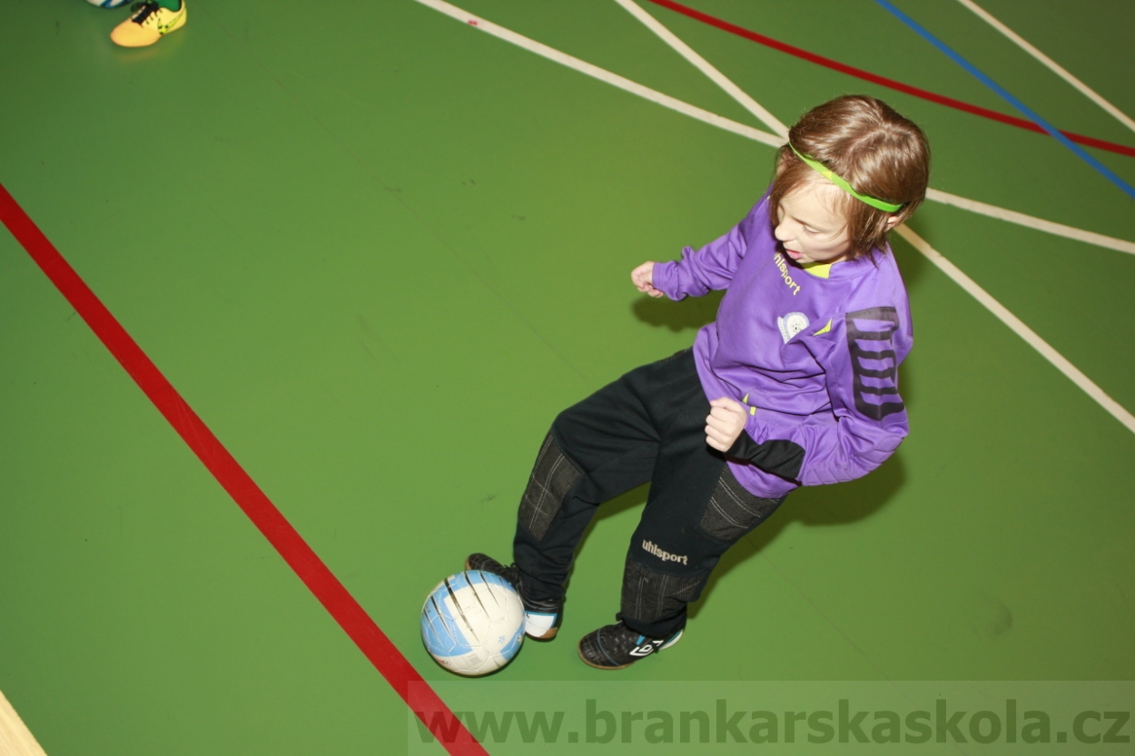 BFŠJCH - Zima 2015 - 30.1.2015