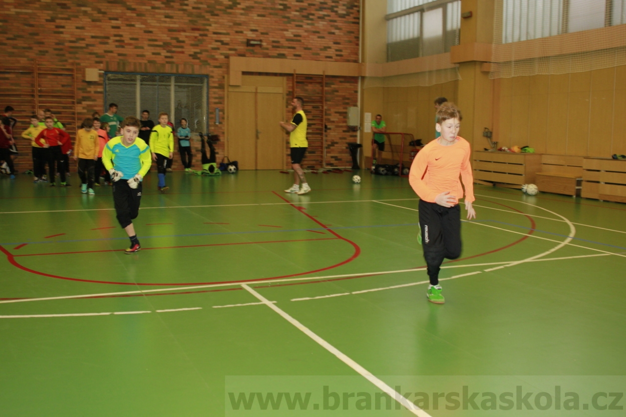 BFŠJCH - Zima 2015 - 30.1.2015