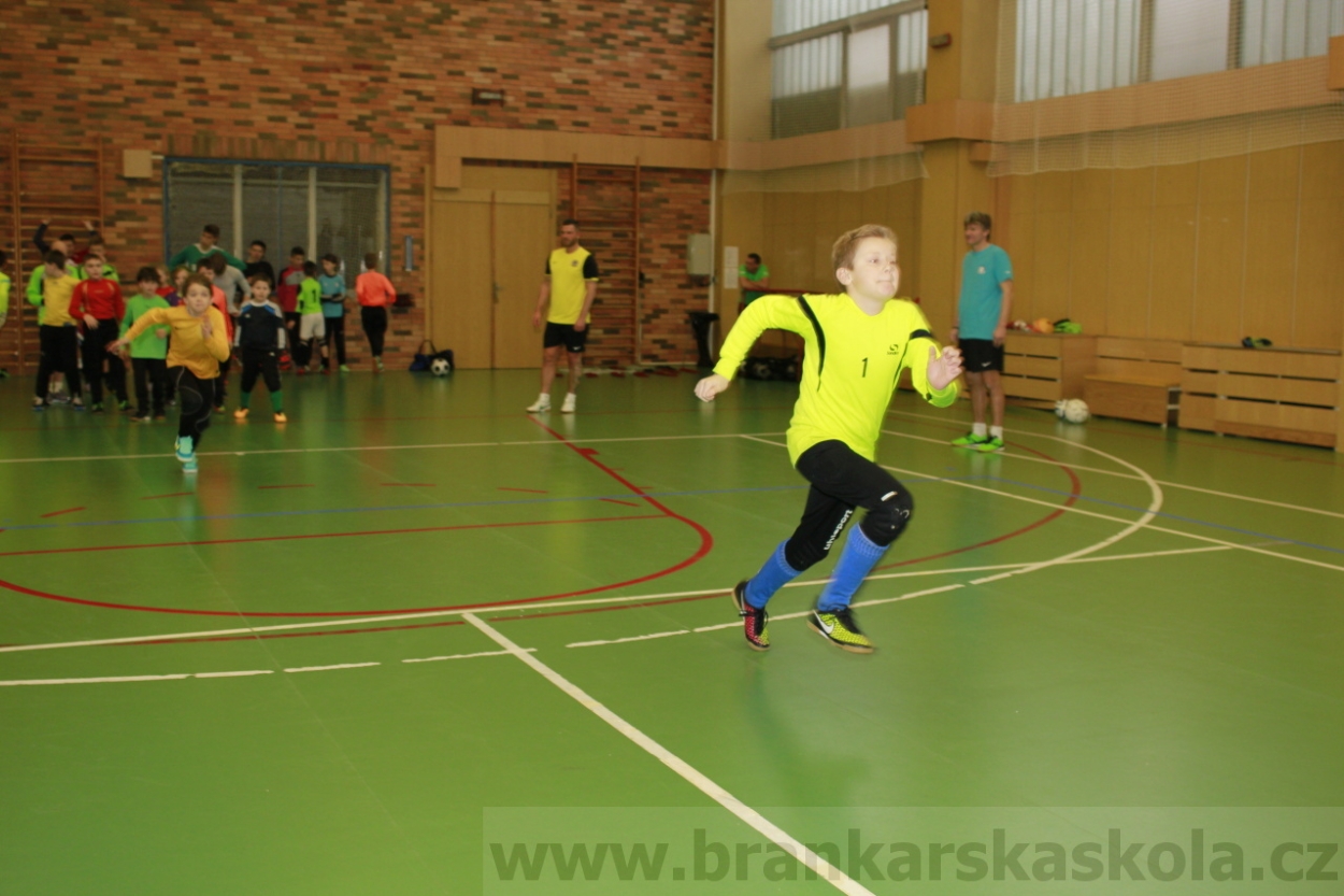 BFŠJCH - Zima 2015 - 30.1.2015