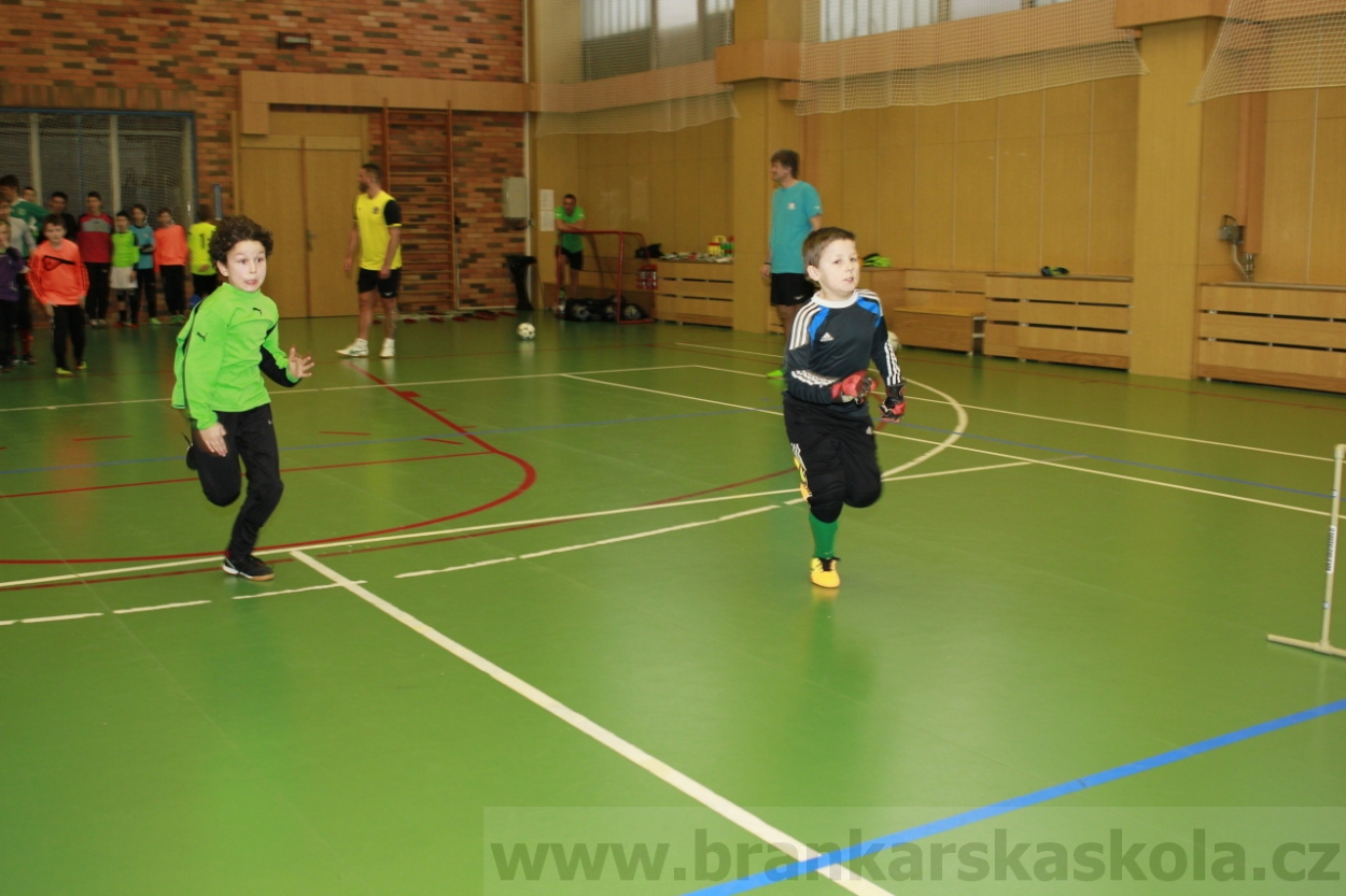 BFŠJCH - Zima 2015 - 30.1.2015