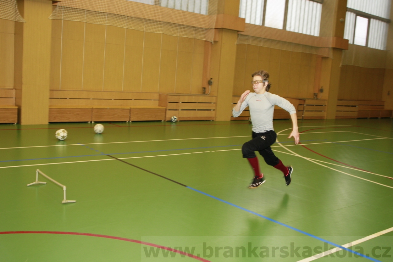 BFŠJCH - Zima 2015 - 30.1.2015