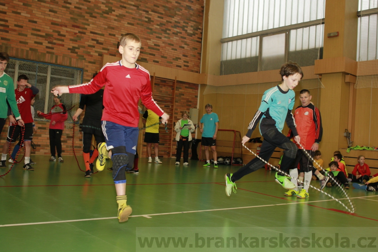 BFŠJCH - Zima 2015 - 30.1.2015