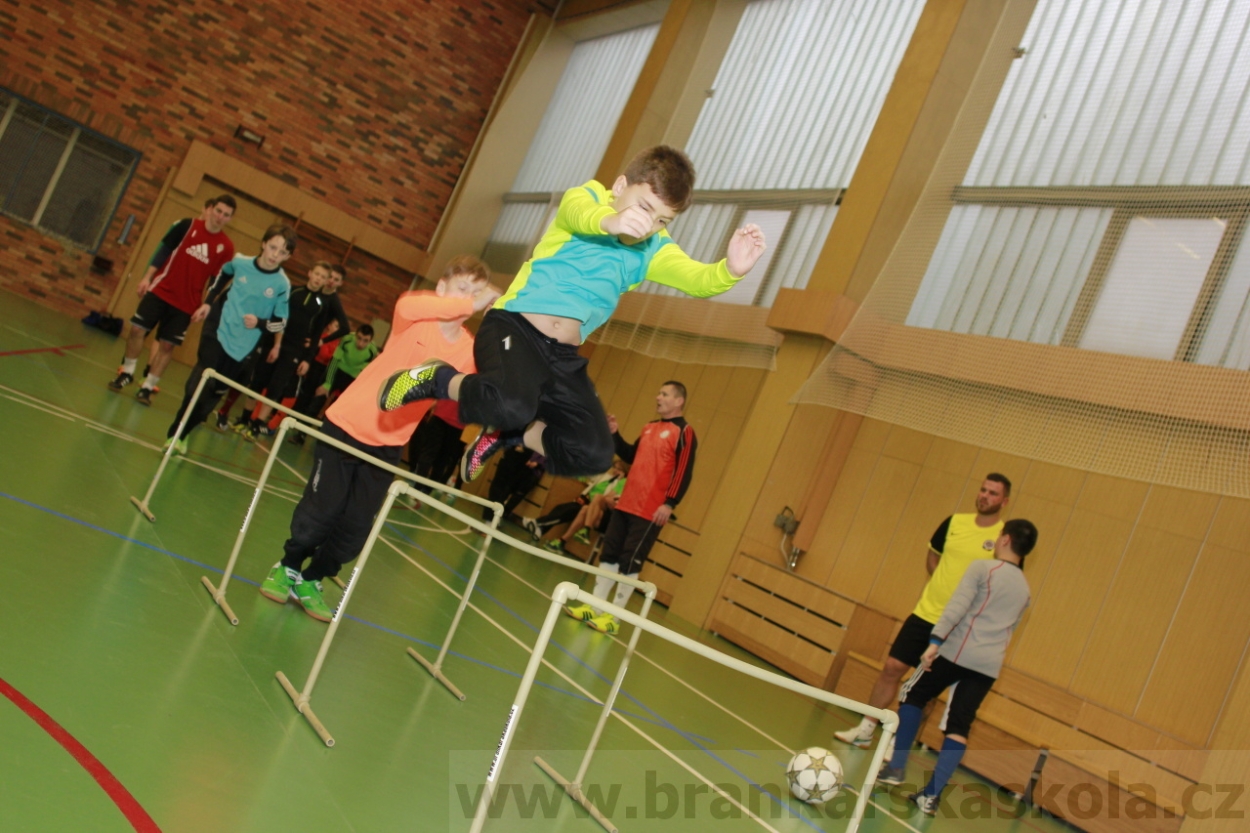 BFŠJCH - Zima 2015 - 30.1.2015