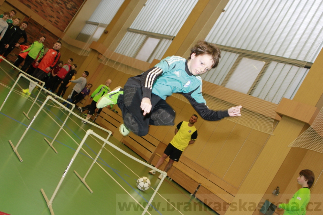 BFŠJCH - Zima 2015 - 30.1.2015