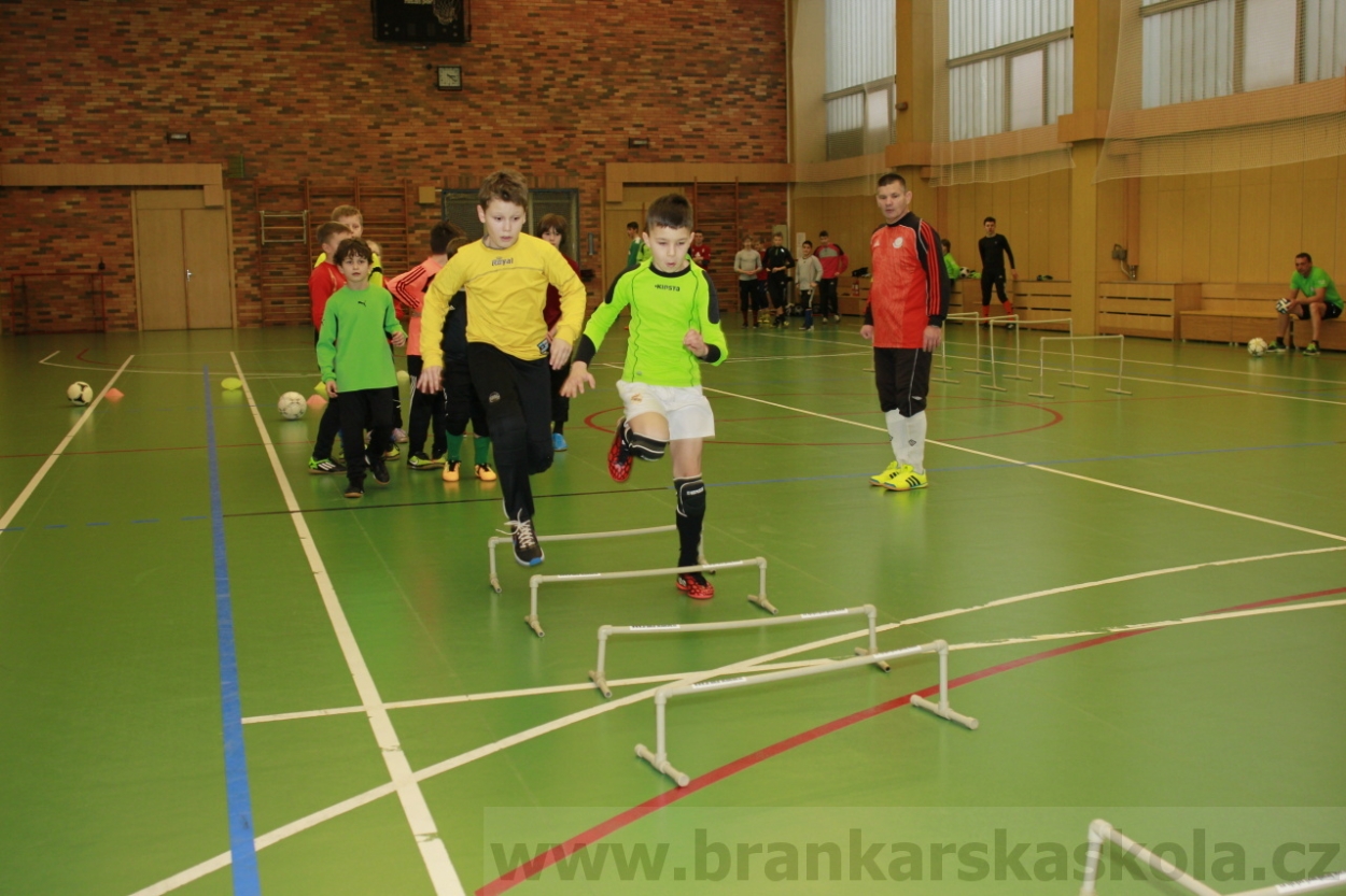 BFŠJCH - Zima 2015 - 30.1.2015