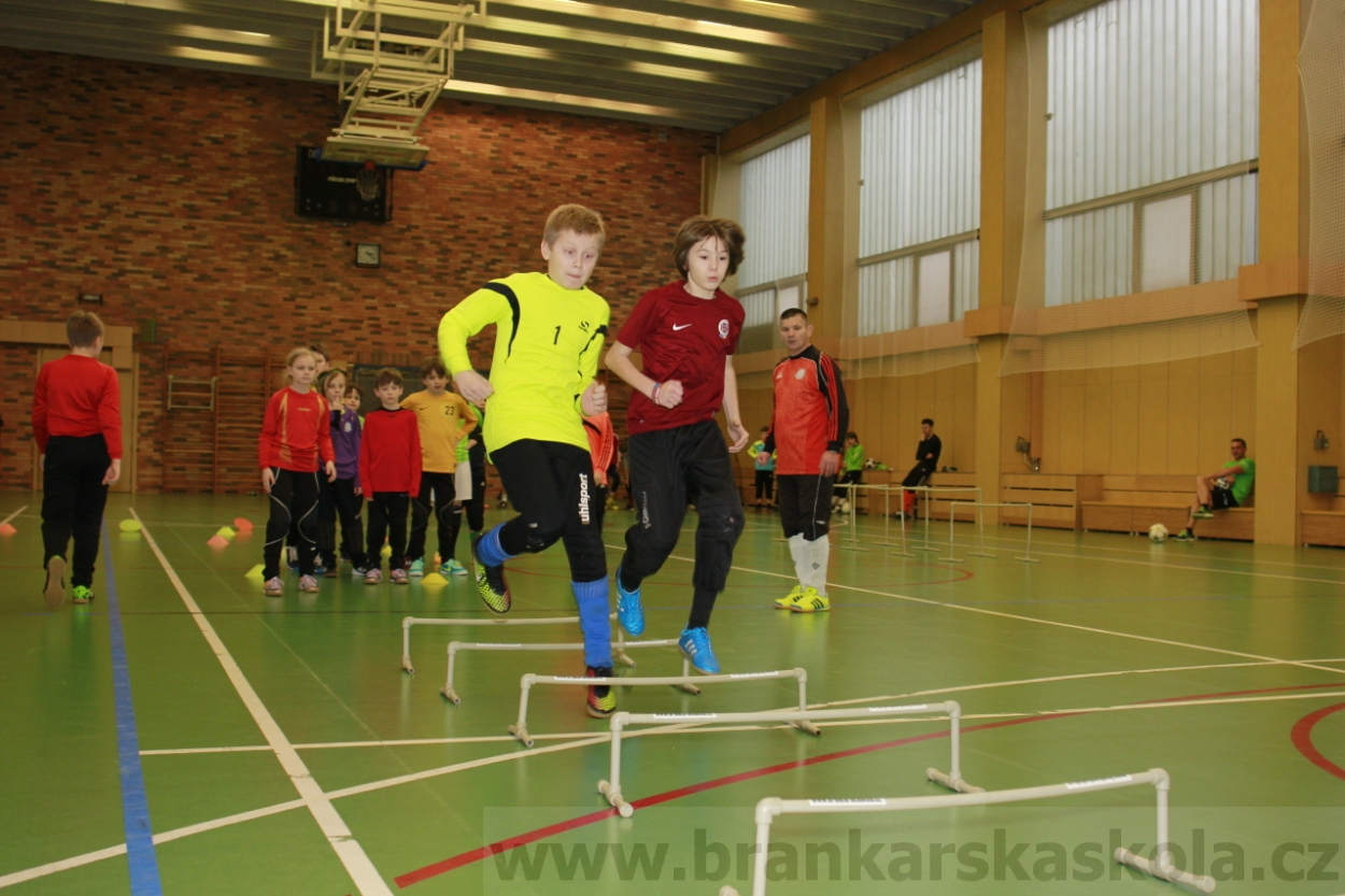 BFŠJCH - Zima 2015 - 30.1.2015