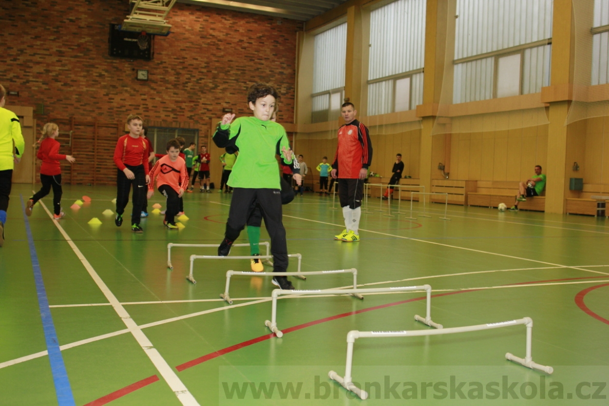 BFŠJCH - Zima 2015 - 30.1.2015