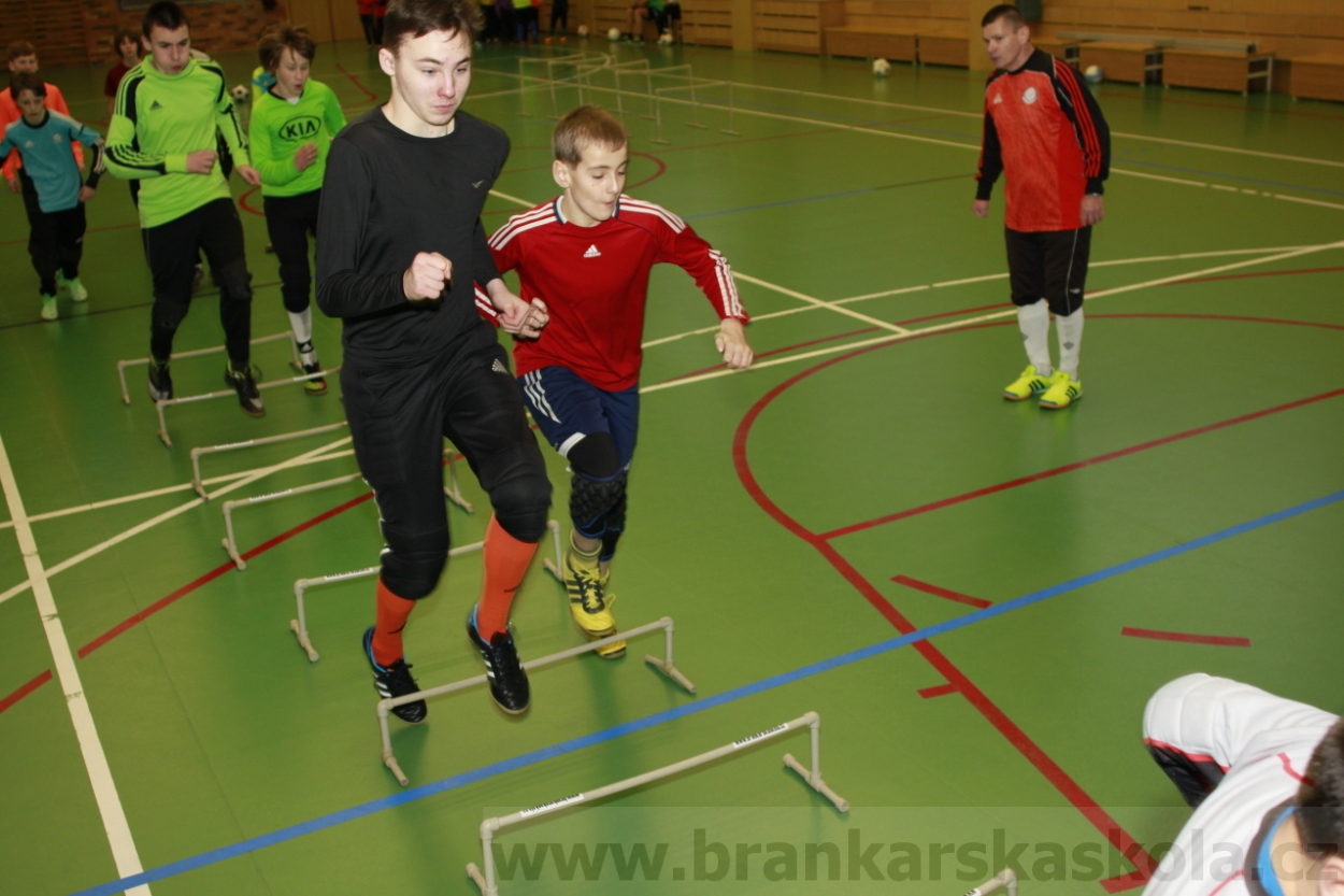 BFŠJCH - Zima 2015 - 30.1.2015