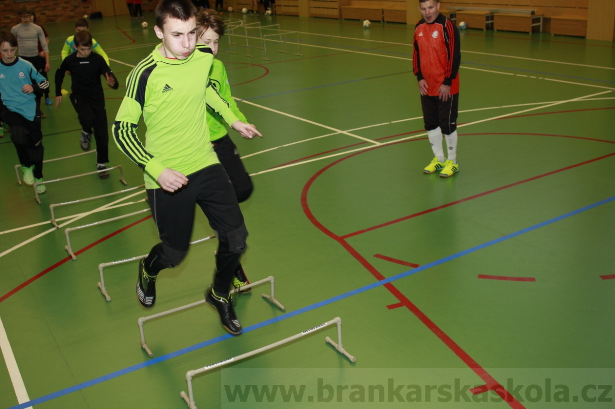 BFŠJCH - Zima 2015 - 30.1.2015