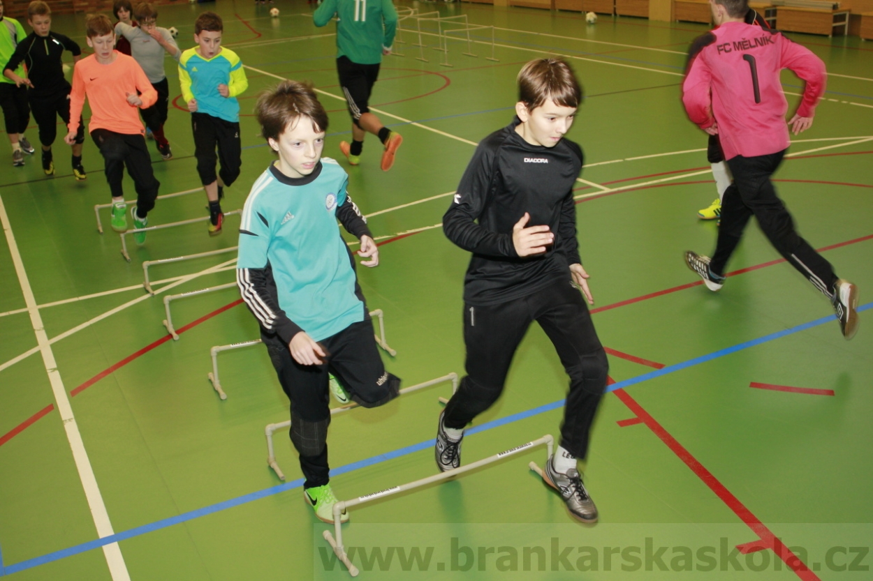 BFŠJCH - Zima 2015 - 30.1.2015