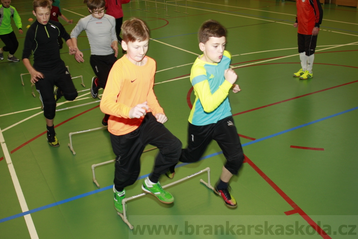 BFŠJCH - Zima 2015 - 30.1.2015