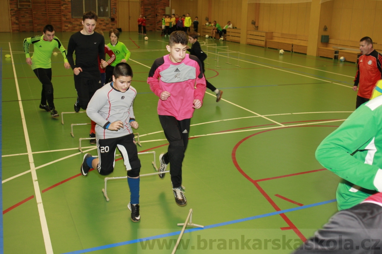 BFŠJCH - Zima 2015 - 30.1.2015