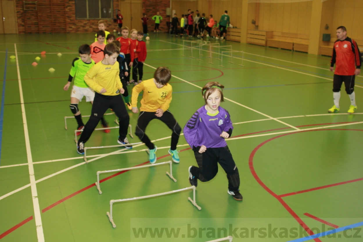 BFŠJCH - Zima 2015 - 30.1.2015