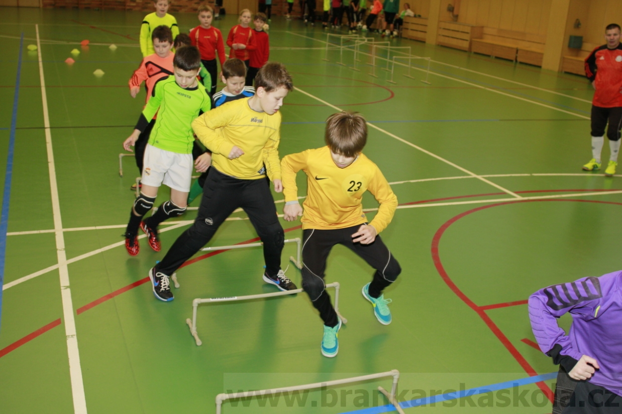 BFŠJCH - Zima 2015 - 30.1.2015