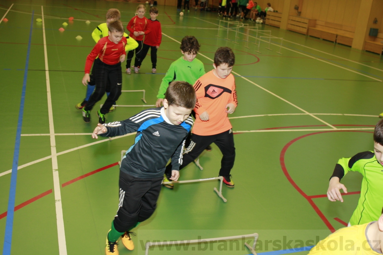 BFŠJCH - Zima 2015 - 30.1.2015