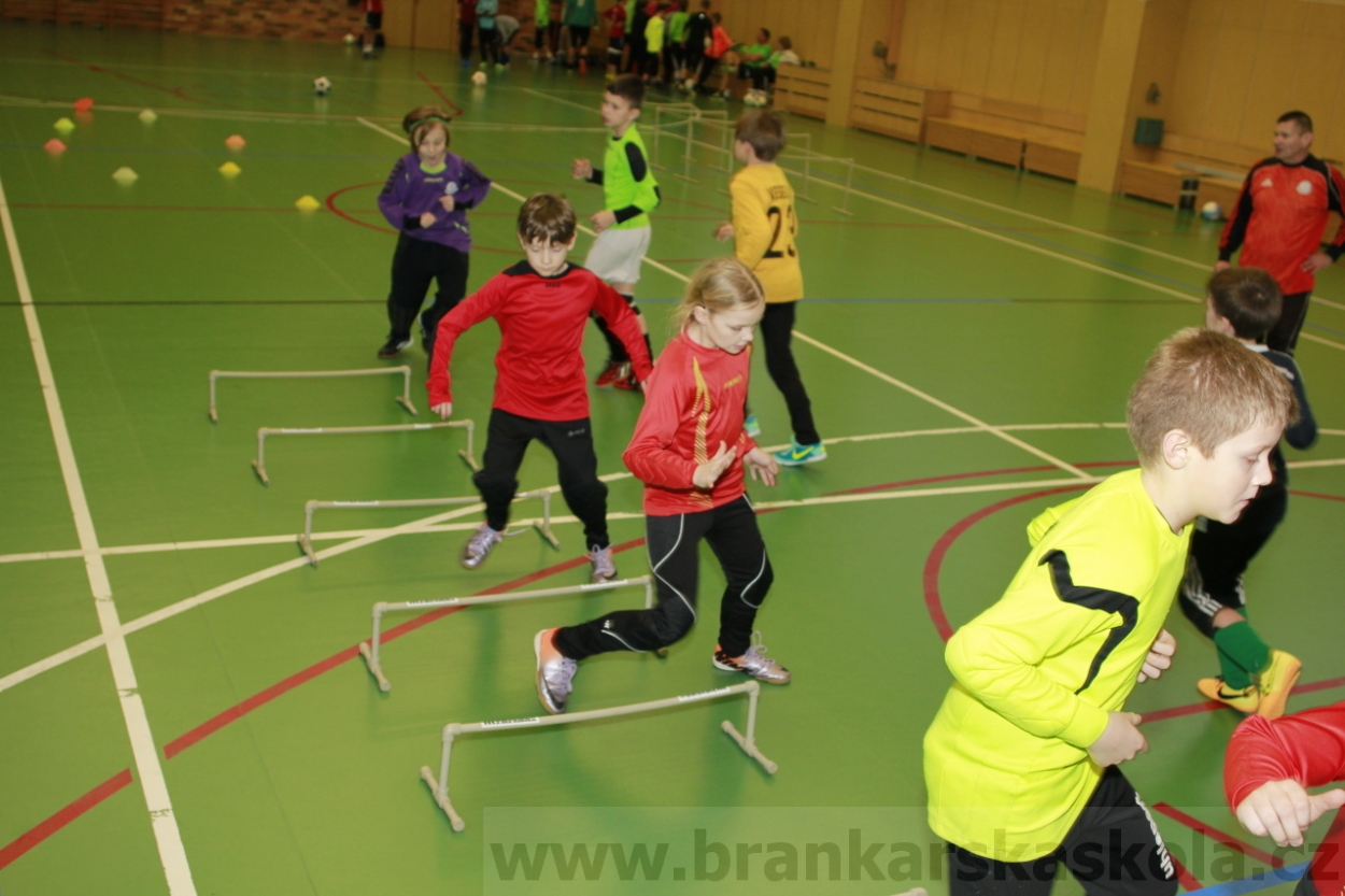 BFŠJCH - Zima 2015 - 30.1.2015