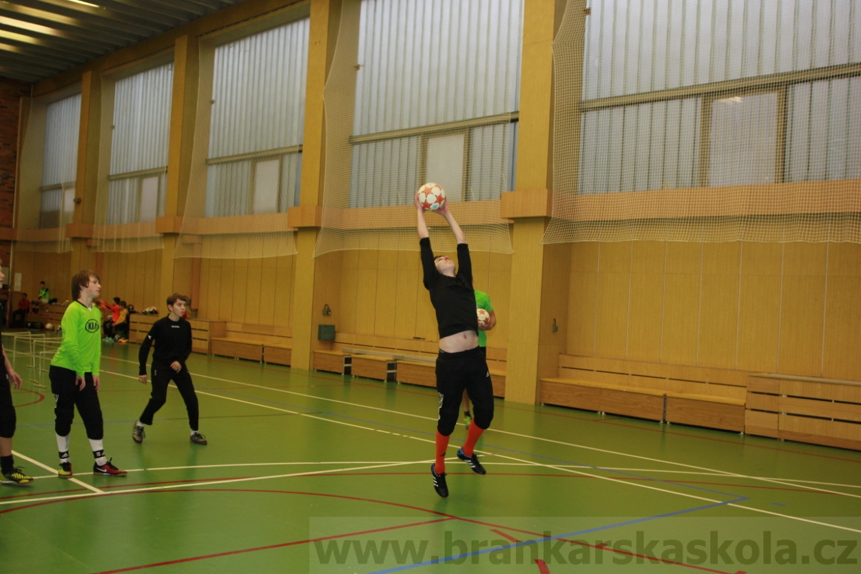 BFŠJCH - Zima 2015 - 30.1.2015