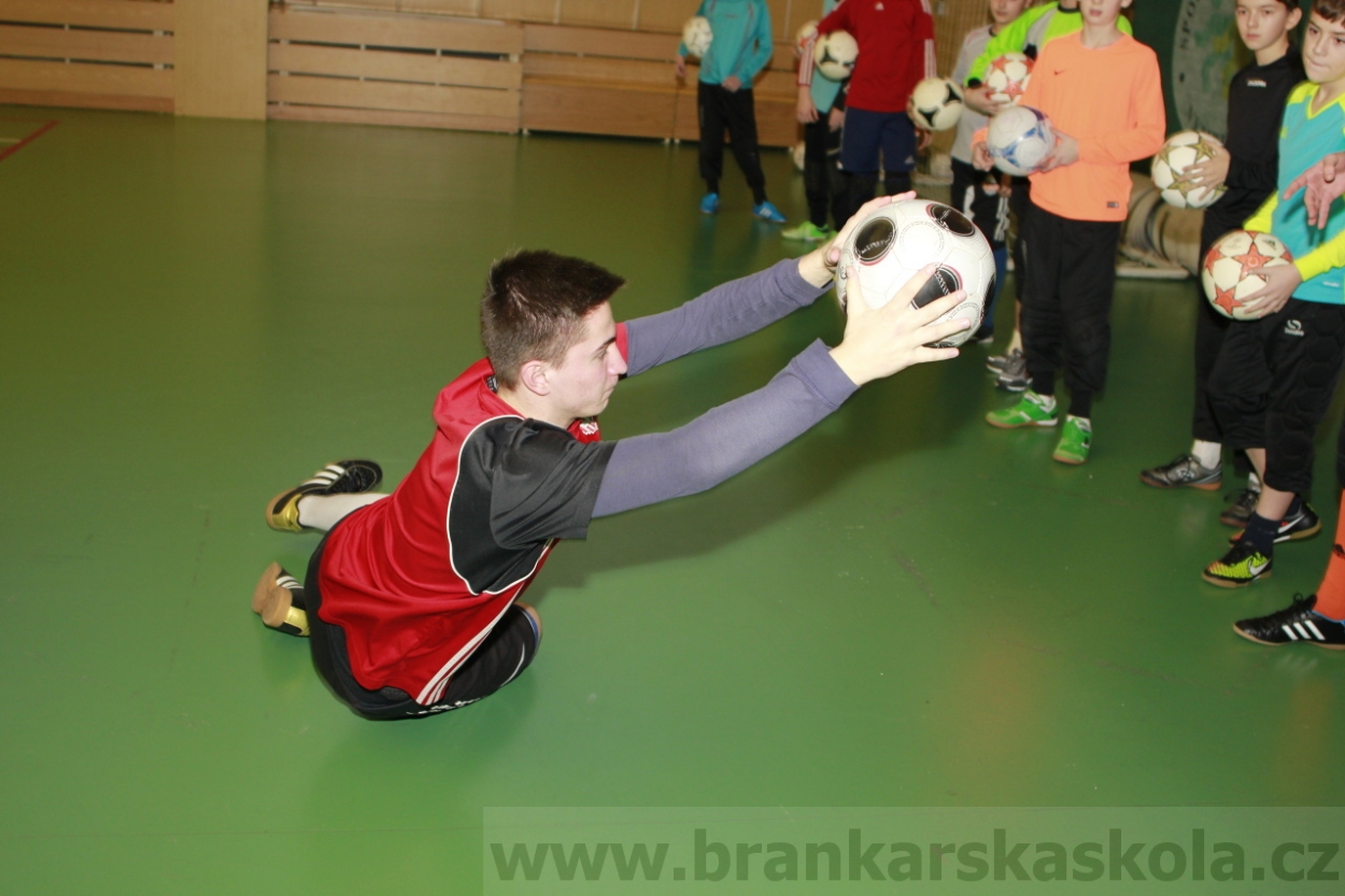 BFŠJCH - Zima 2015 - 30.1.2015