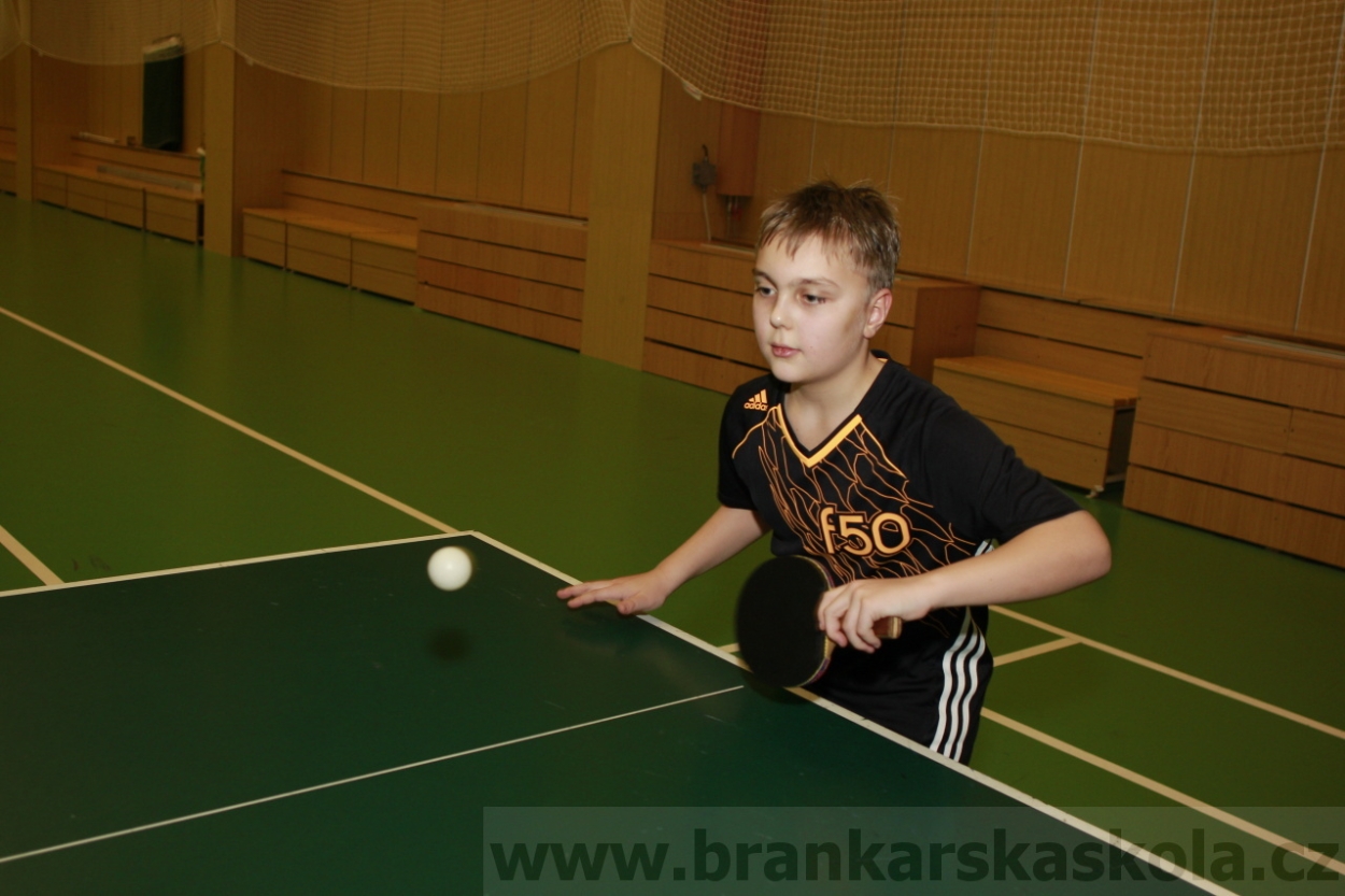 BFŠJCH - Zima 2015 - 30.1.2015