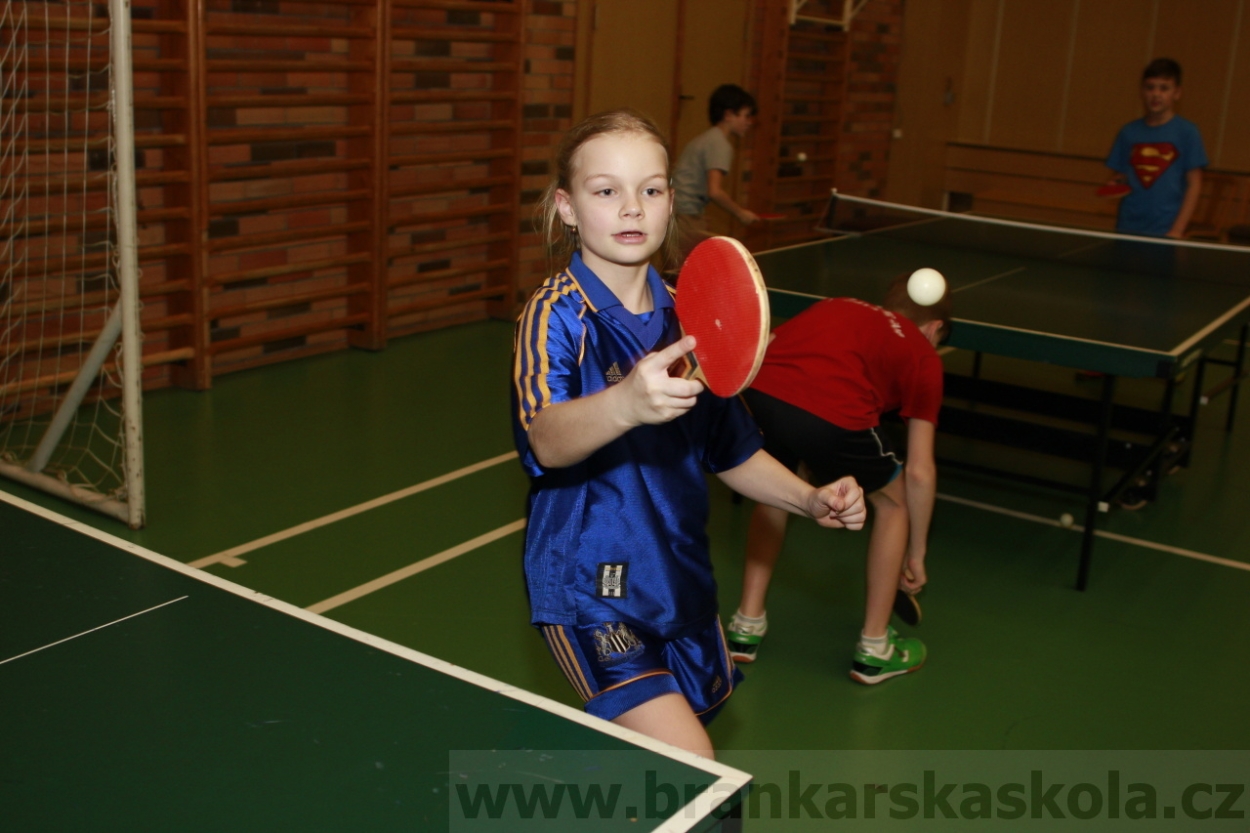 BFŠJCH - Zima 2015 - 30.1.2015