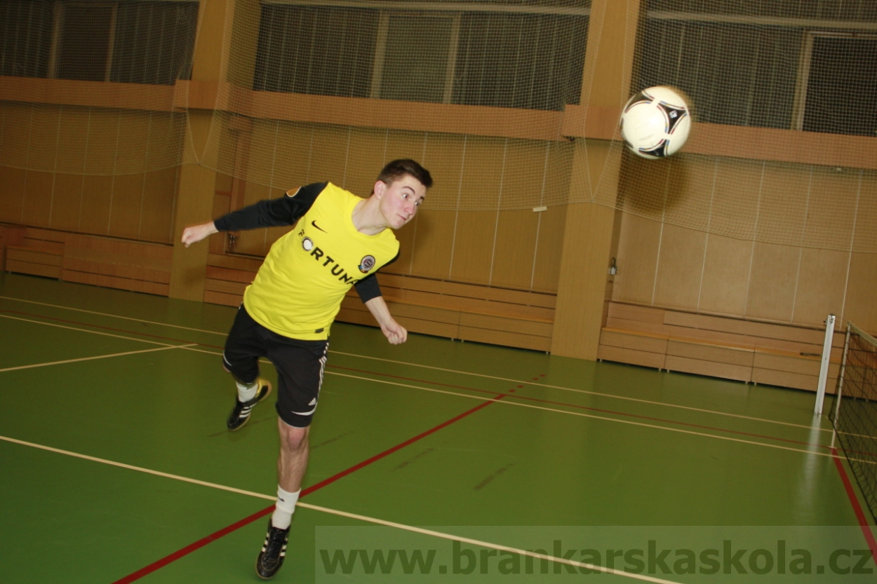 BFŠJCH - Zima 2015 - 30.1.2015