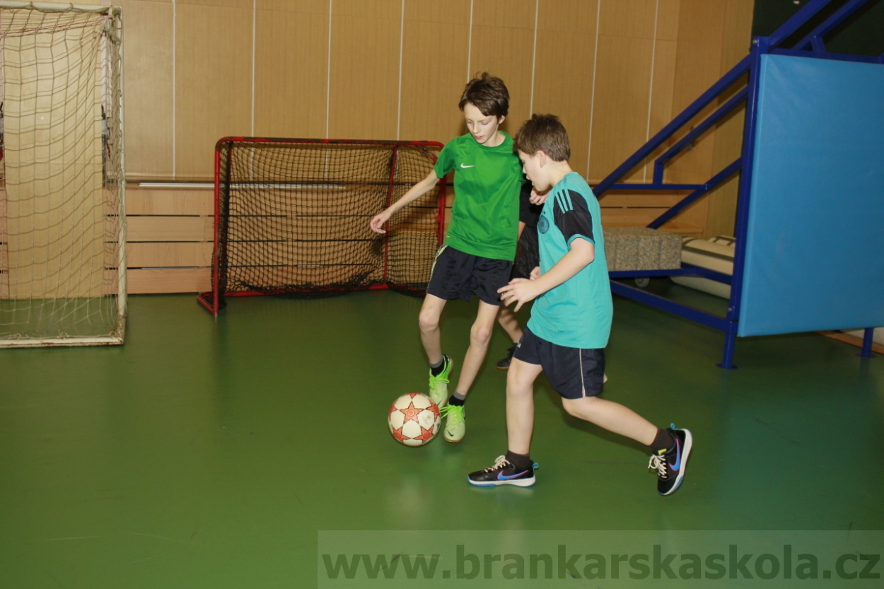 BFŠJCH - Zima 2015 - 30.1.2015