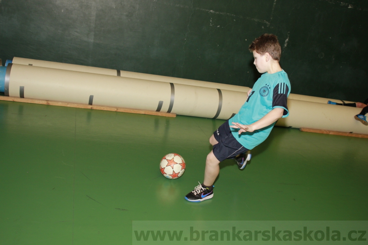 BFŠJCH - Zima 2015 - 30.1.2015