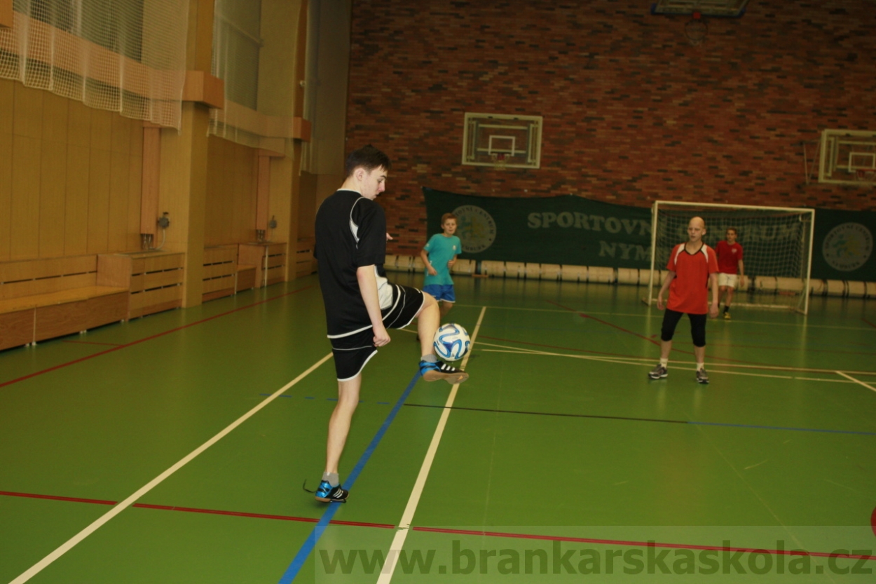 BFŠJCH - Zima 2015 - 30.1.2015