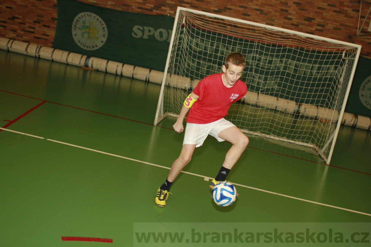 BFŠJCH - Zima 2015 - 30.1.2015