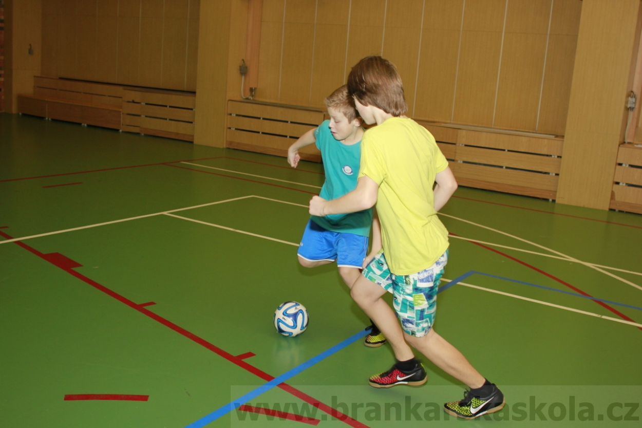 BFŠJCH - Zima 2015 - 30.1.2015