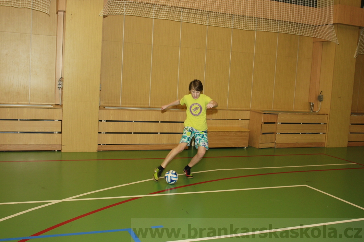 BFŠJCH - Zima 2015 - 30.1.2015