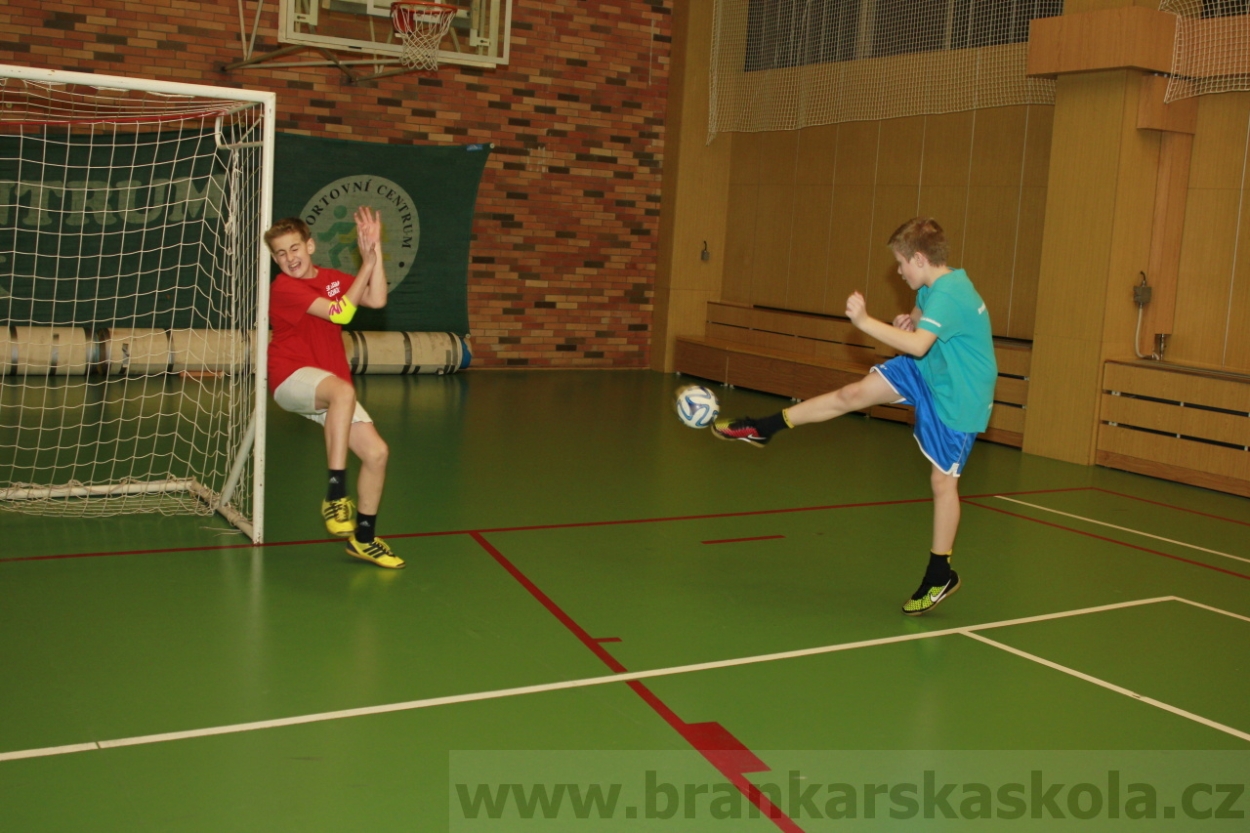 BFŠJCH - Zima 2015 - 30.1.2015