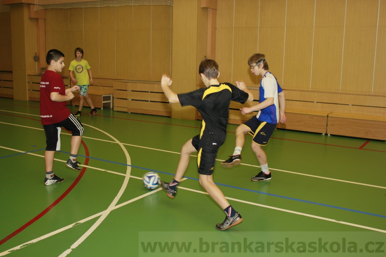 BFŠJCH - Zima 2015 - 30.1.2015