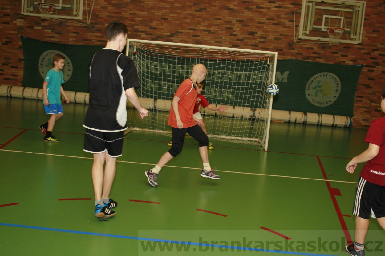 BFŠJCH - Zima 2015 - 30.1.2015