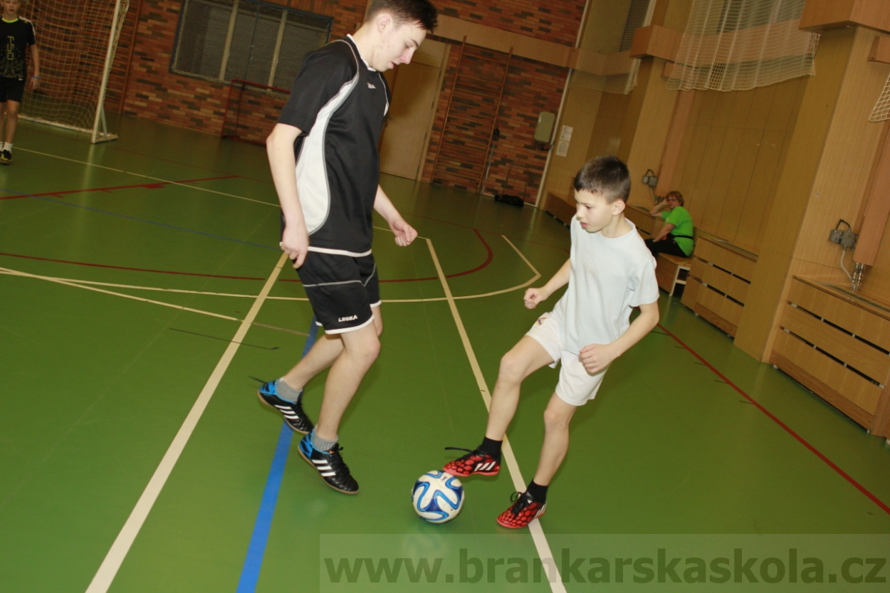 BFŠJCH - Zima 2015 - 30.1.2015