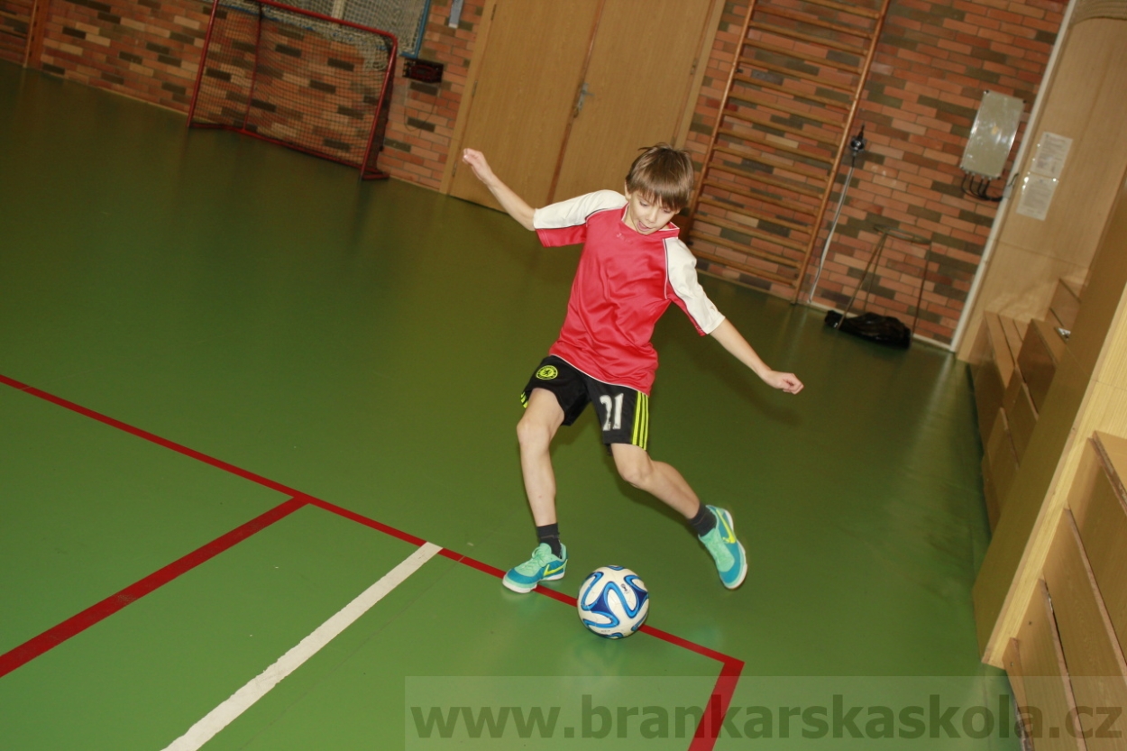 BFŠJCH - Zima 2015 - 30.1.2015