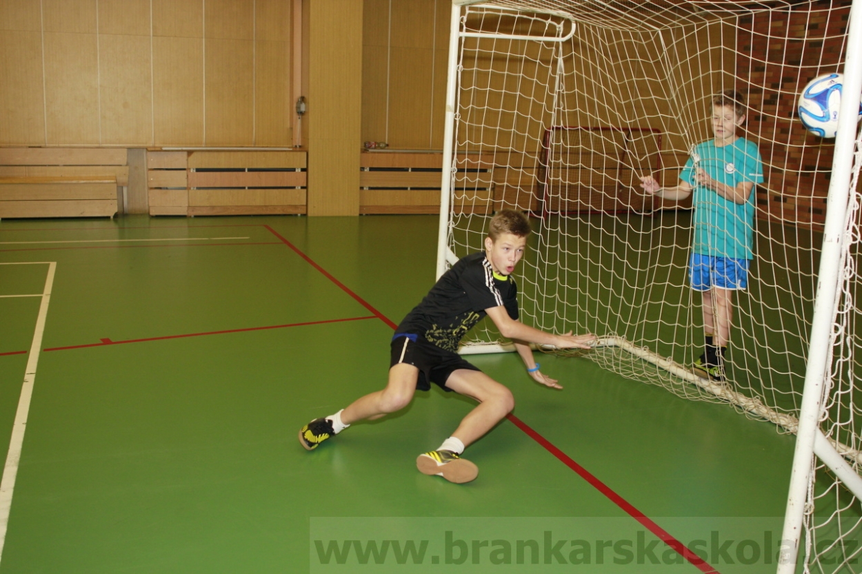 BFŠJCH - Zima 2015 - 30.1.2015